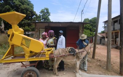 Actions au Sénégal (2015)