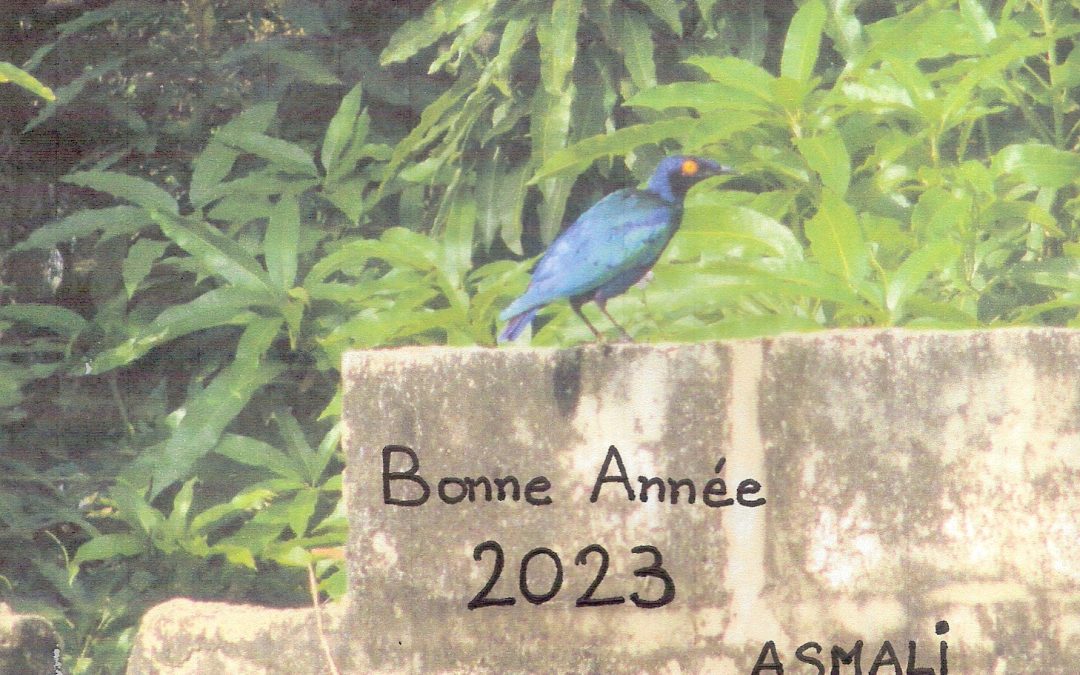 Meilleurs vœux 2023 !!