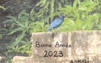 Meilleurs vœux 2023 !!